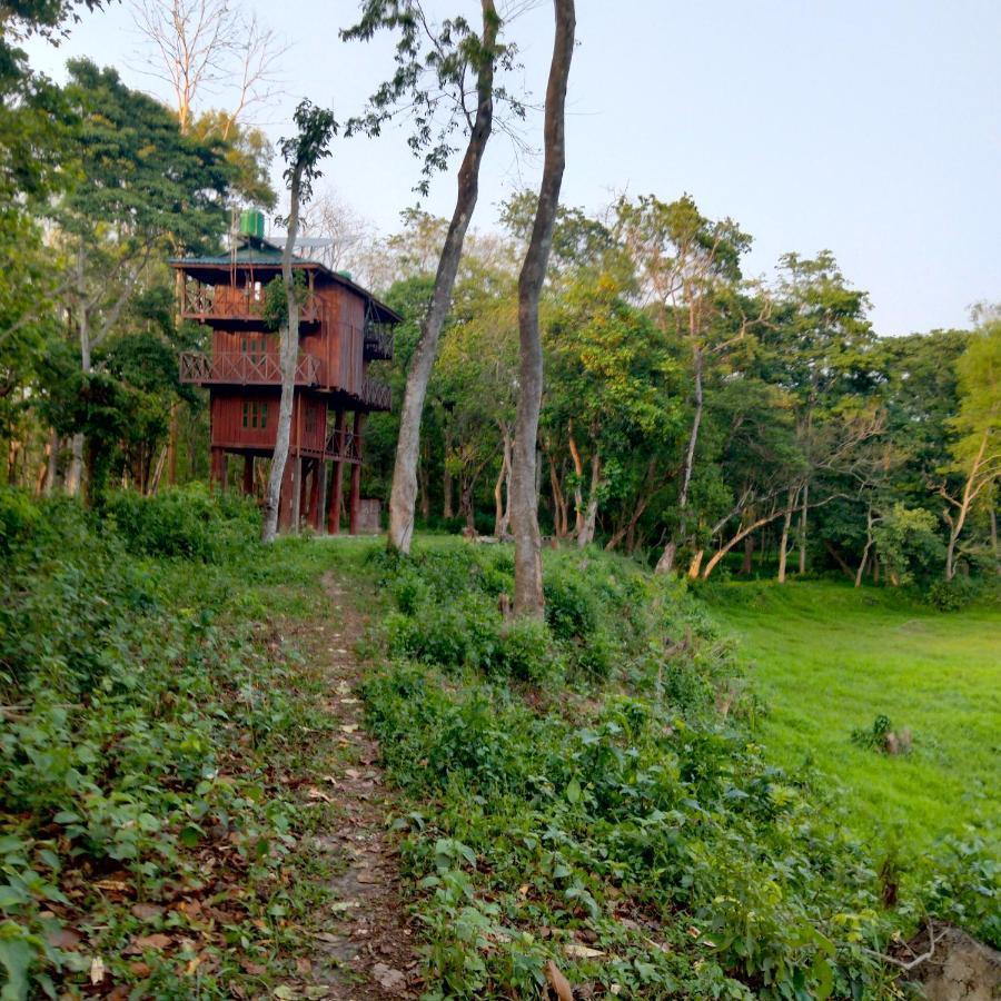 Hotel Tiger Tops โซราฮา ภายนอก รูปภาพ
